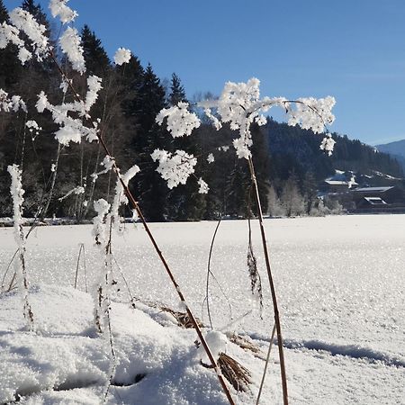 Griesbachhof-Wilder Kaiser Oberndorf in Tirol Eksteriør billede