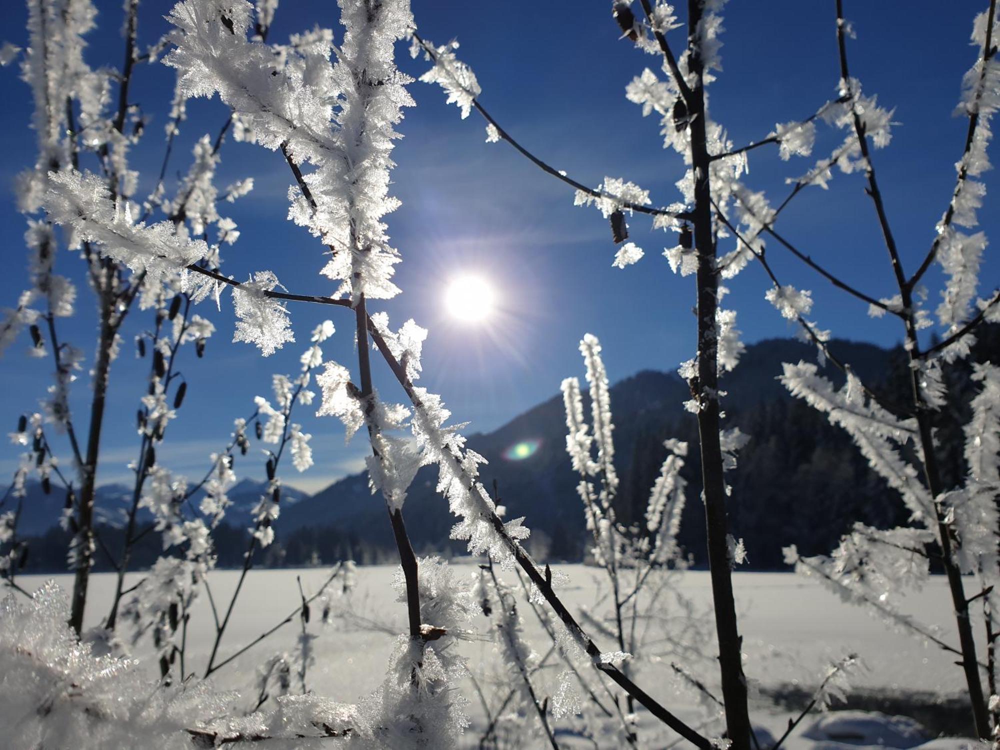 Griesbachhof-Wilder Kaiser Oberndorf in Tirol Eksteriør billede