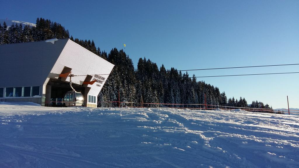 Griesbachhof-Wilder Kaiser Oberndorf in Tirol Eksteriør billede