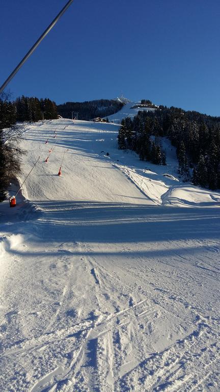 Griesbachhof-Wilder Kaiser Oberndorf in Tirol Eksteriør billede